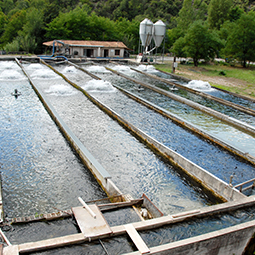 Fish Farms